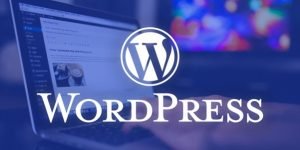 وردپرس (WordPress)