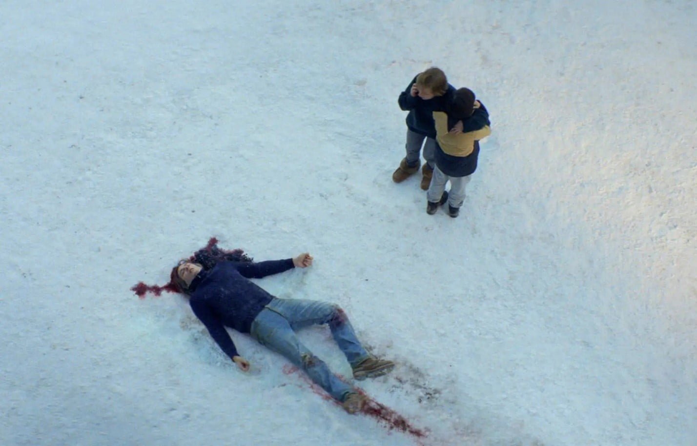 Picture2 | هلومگ | بررسی فیلم آناتومی یک سقوط، داستانی از قدرت و فساد