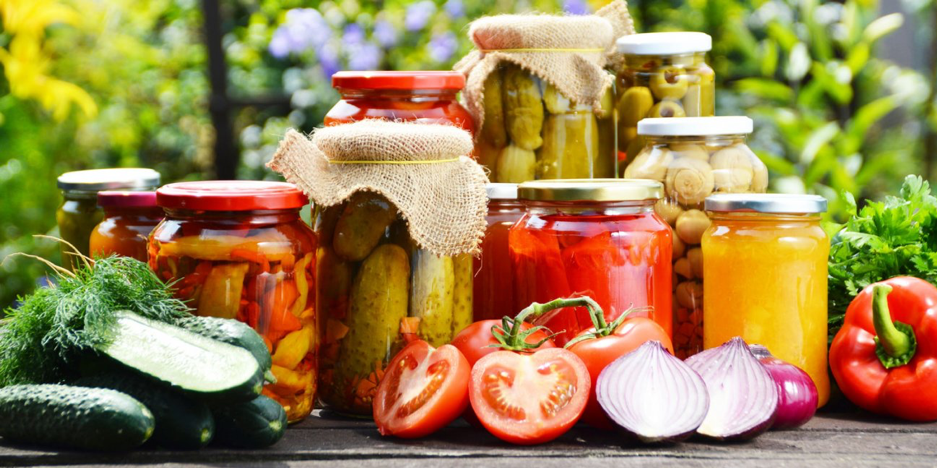 مواد غذایی تخمیری