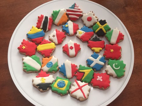 Picture17 | هلومگ | طرز تهیه شیرینی کوکی پرچمی